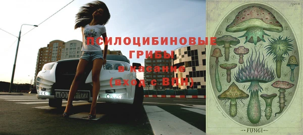 гашик Верхнеуральск