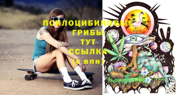 гашик Верхнеуральск